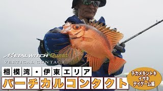 PALMS L WITCH タチウオ タイラバ METAL WITCH Quest / メタルウィッチ