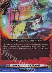 vol.13 バディファイト牙王デッキ 紹介| トレカの買取・通販ならカード