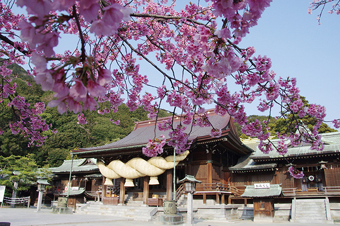 全国の「桜が美しい神社」11選！2020年の開花時期・見頃などお花見情報