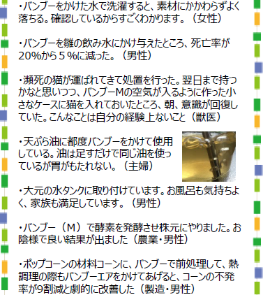 テネモス・バンブー（エネルギーチャージ・発酵促進器）