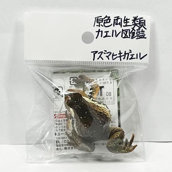 ユージン 原色両生類カエル図鑑 新改訂版 アズマヒキガエル