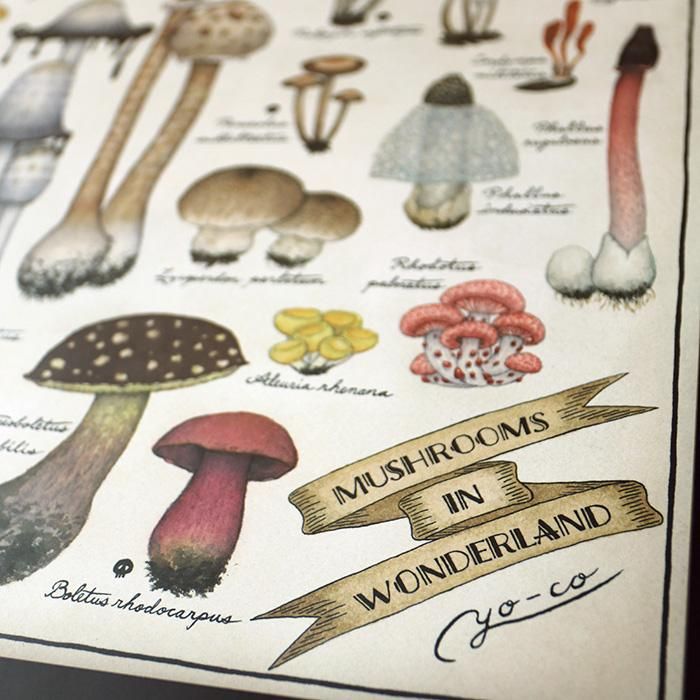 A2ポスター ○キノコ図鑑シリーズ3○MUSHROOMS IN WONDERLAND- 13.CATS