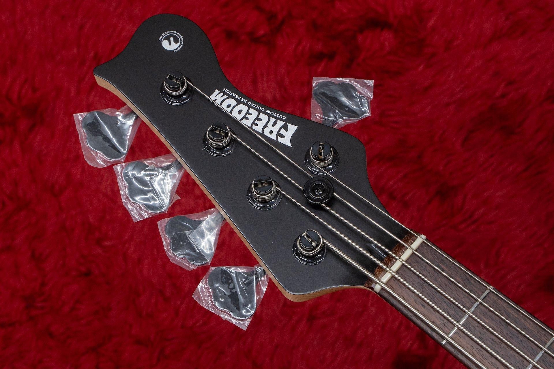 new】Freedom Custom Guitar Research / C.S. Anthra 5st. / SDB