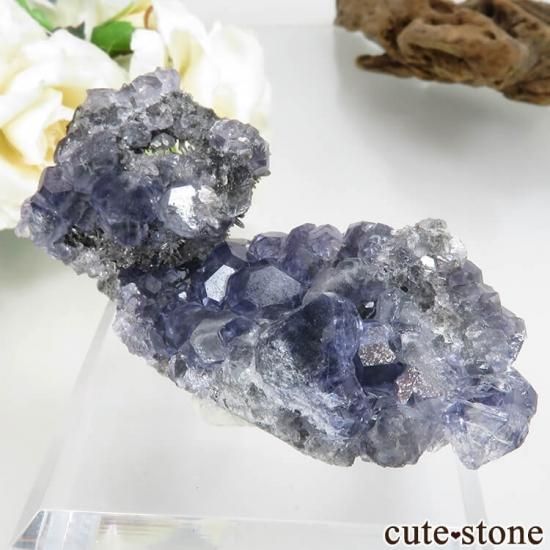 福建省 Xia Yang Mine産 パープルフローライト＆クォーツの母岩付き