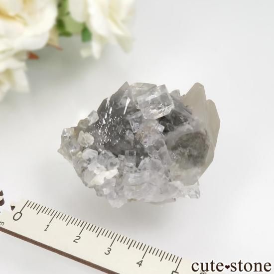 スペイン Emilio Mine産 フローライト＆カルサイト原石 No.8 - cute