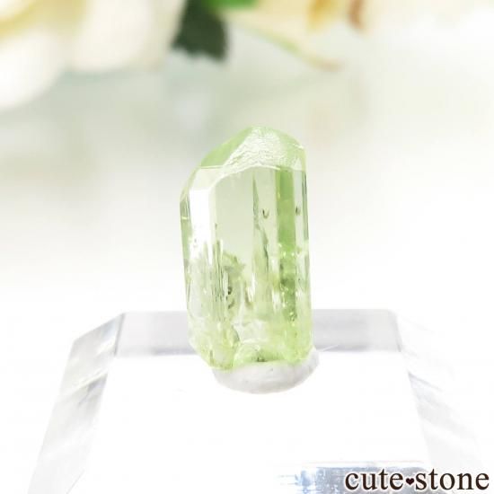 タンザニア Merelani Hills産 ダイオプサイトの原石 No.9 - cute stone -