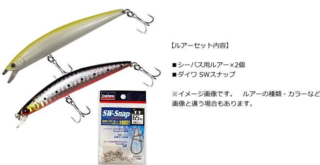 厳選 シーバス セット / ロッド+リール+ルアー他 釣場に直行！5点