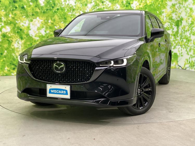 CX-8（マツダ）の中古車 | 中古車情報・中古車検索なら【車選びドット