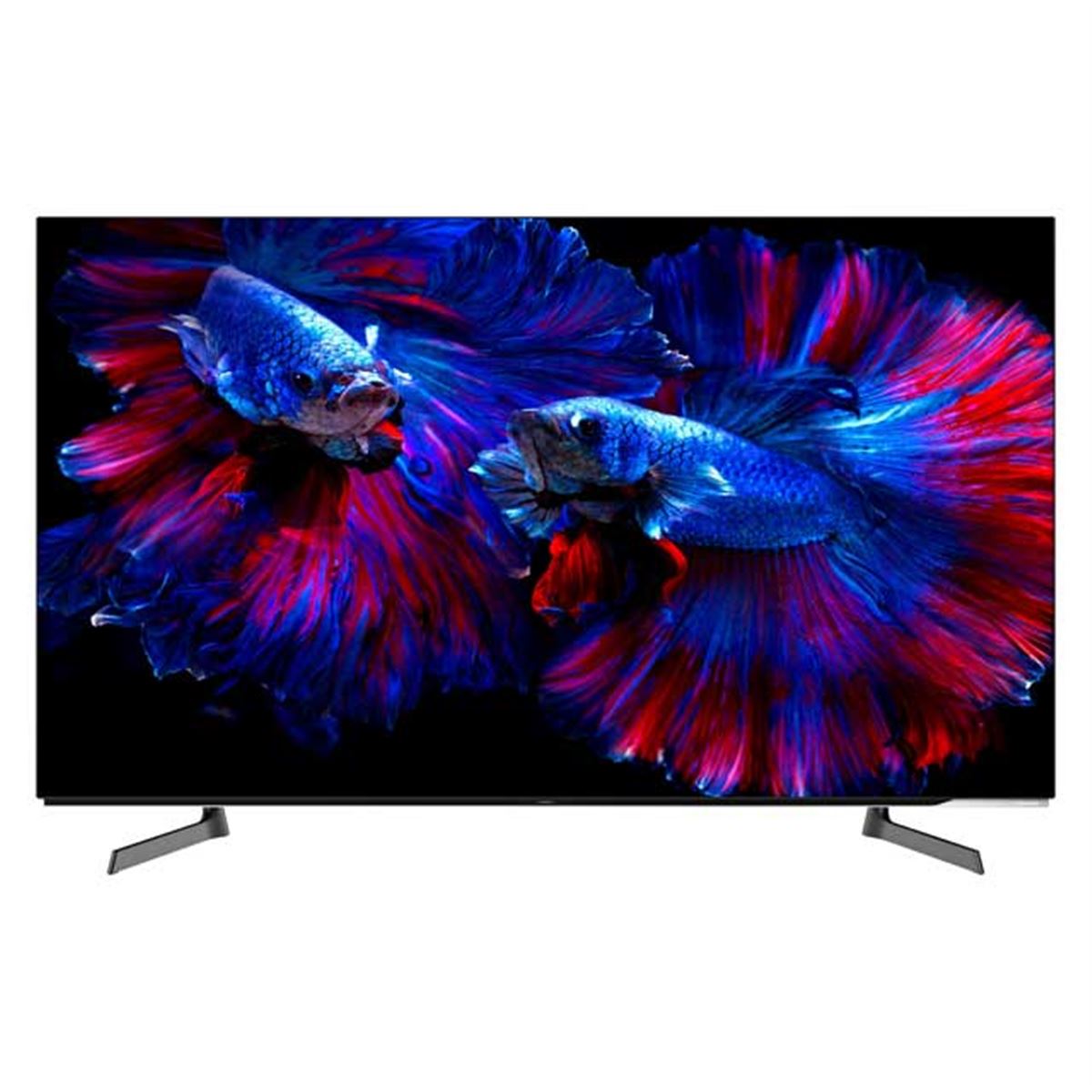 ハイセンス、4Kチューナー内蔵の55V型有機ELテレビを約20万円で発売