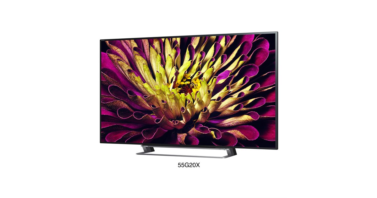 ジャンク品・画面不良）TOSHIBA 55G20X 液晶テレビ 55インチ ジャンク