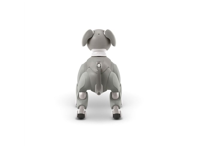 ソニー、aibo（アイボ）の2021年限定カラーモデル「aibo 黒ごま