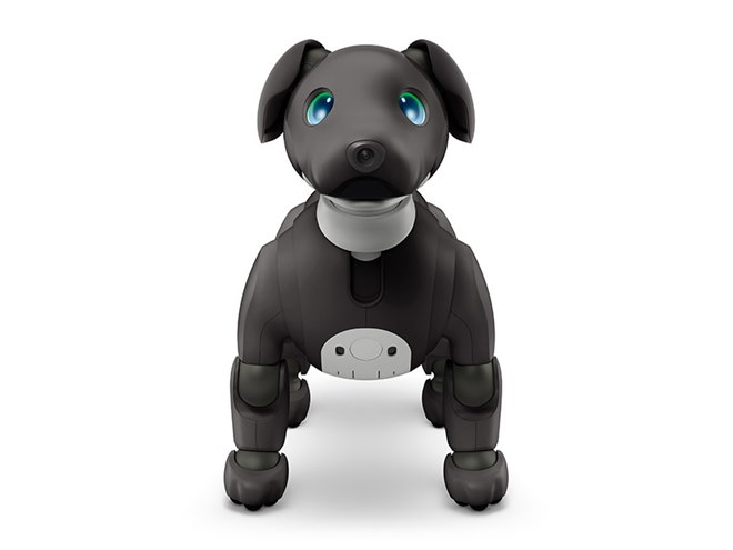 ソニー、「aibo（アイボ）」の2023年カラー「エスプレッソ