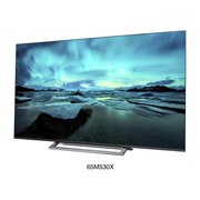 価格.com - 東芝 REGZA 43M530X [43インチ] スペック・仕様