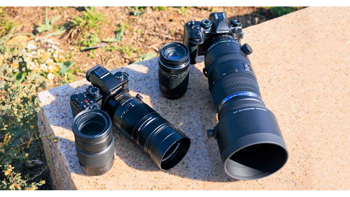 超望遠撮影ならやっぱりマイクロフォーサーズ！ 小型・軽量なので軽快