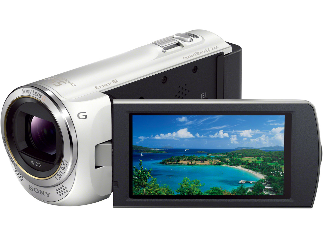 SONY HDR-CX390 (P) [サクラピンク] 価格比較 - 価格.com