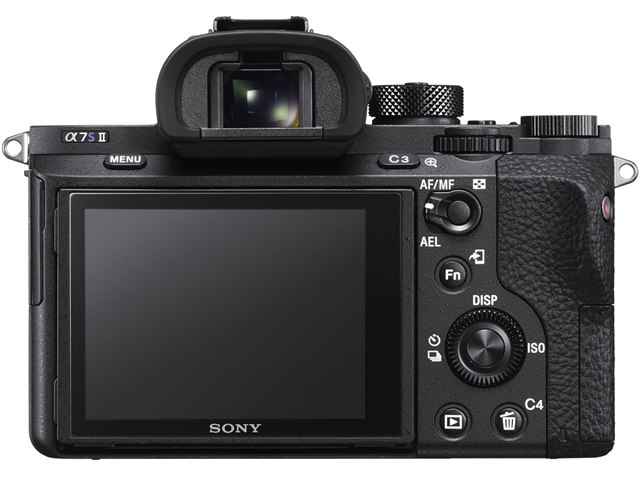 ショット数: 1238回 SONY α7S ボディ ILCE-7S #975 ショット数: 1238回