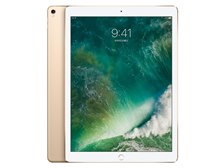 Apple iPad Pro 12.9インチ Wi-Fi 512GB MPL12J/A [ゴールド] 価格比較