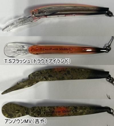 トラウトアイランド ディスプラウト イーグルプレーヤー50slim/GJ