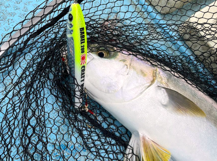 CRAZY WORKS BABEL 230 NB-EYE-TOKYO