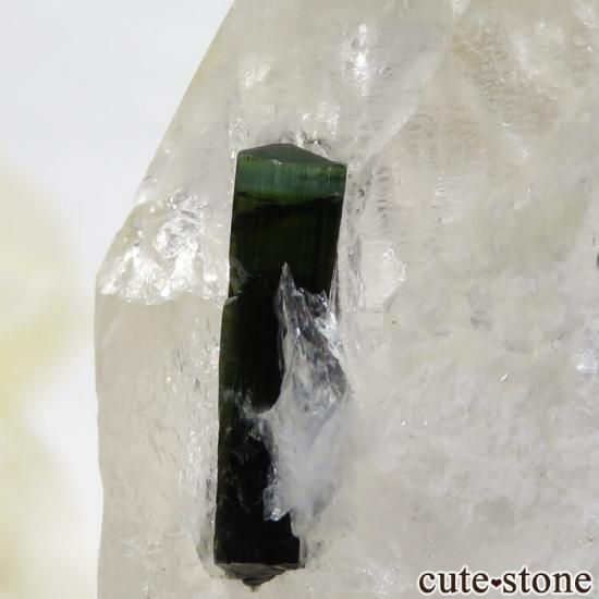 パキスタン産 バイカラートルマリン＆水晶の共生標本（原石）19.6g