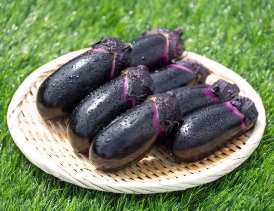 立仙農園】うちのなす3kg - 土佐香南まるごと旨市