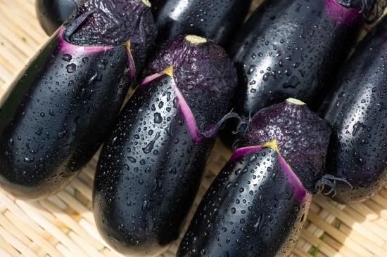 立仙農園】うちのなす3kg - 土佐香南まるごと旨市