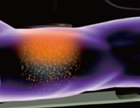 HORSE | INDIBA JAPAN - インディバ・ジャパン