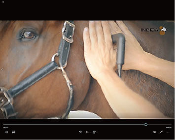 HORSE | INDIBA JAPAN - インディバ・ジャパン