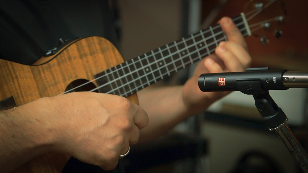 sE Electronics SE8 楽器収録に最適なスモールダイヤフラム