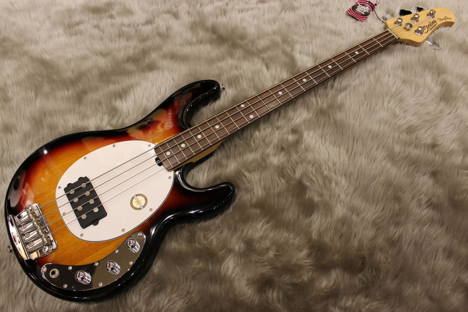 スターリン バイ ミュージックマン｜特別価格の1本｜島村楽器 イオン