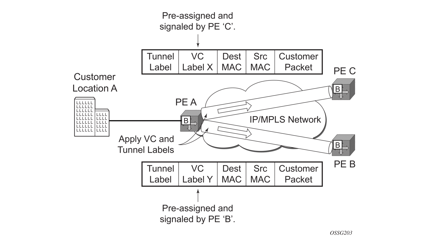 5. Virtual Private LAN Service