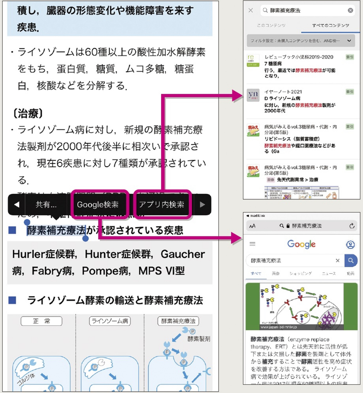 イヤーノート内科・外科 2026（電子版） | INFORMA by メディックメディア
