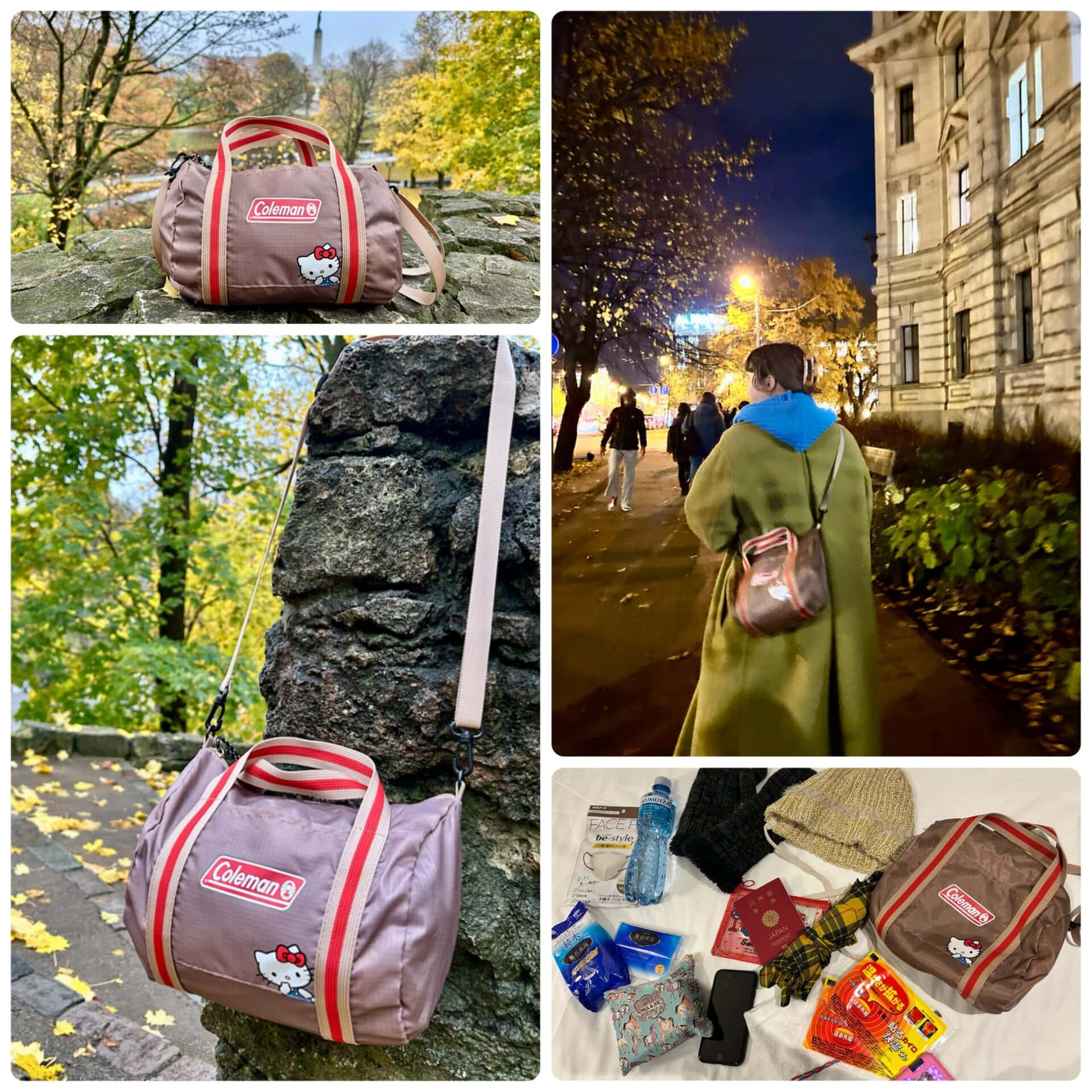 付録レビュー】ボストン型ポシェットが