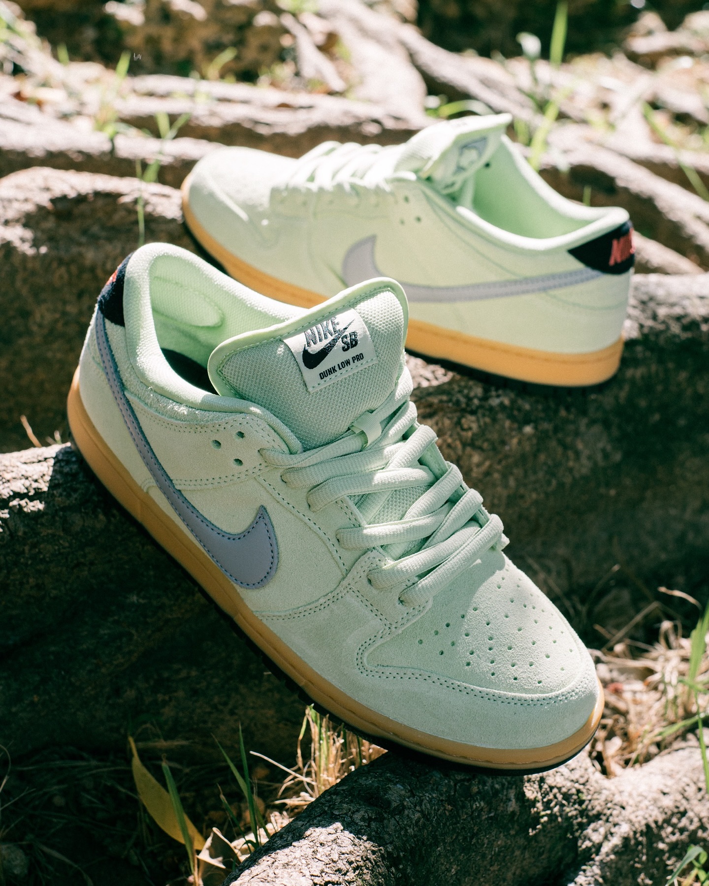 nikesbNike SB Dunk Low Pro “Verdugo Mountain”カリフォルニアの