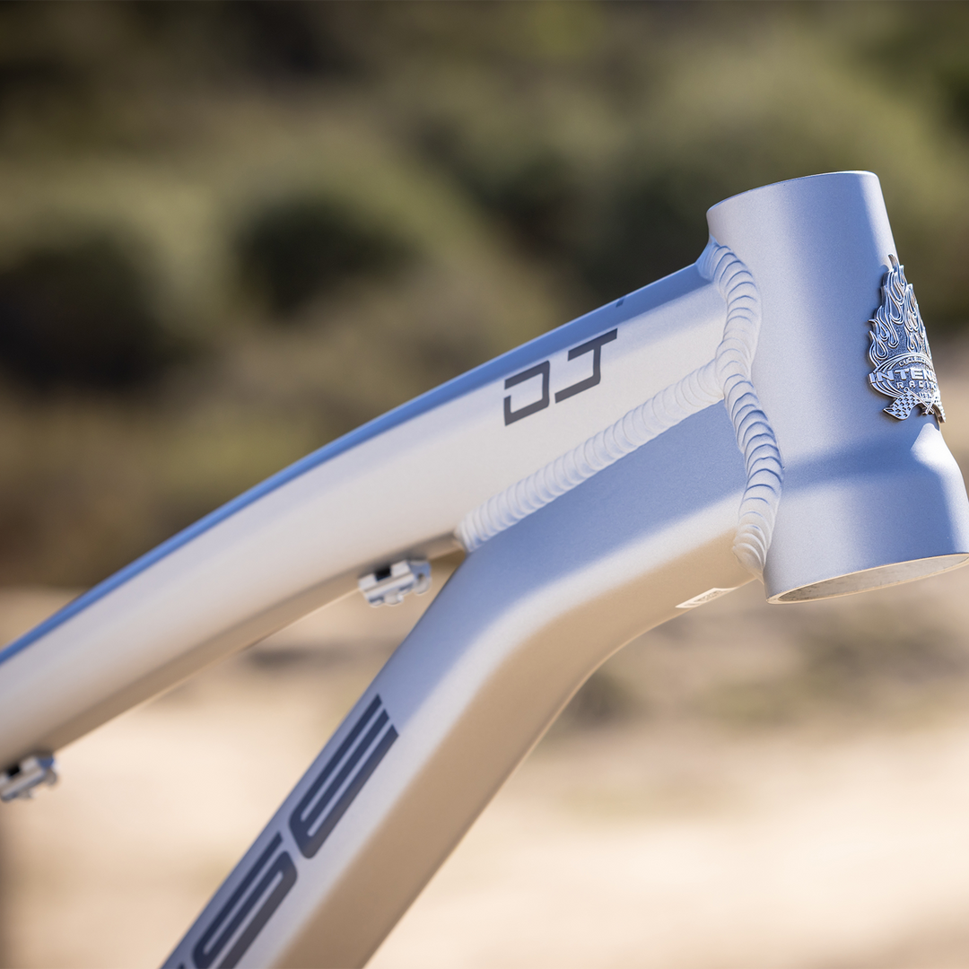 DJ Dirt Jump Bike Frame | INTENSE CYCLES – INTENSE LLC