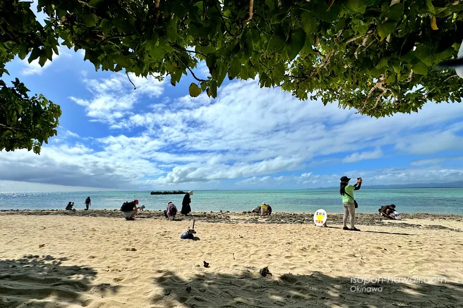 沖縄・竹富島】カイジ浜（皆治浜） 星砂で有名なビーチ | いそぽんハワイ
