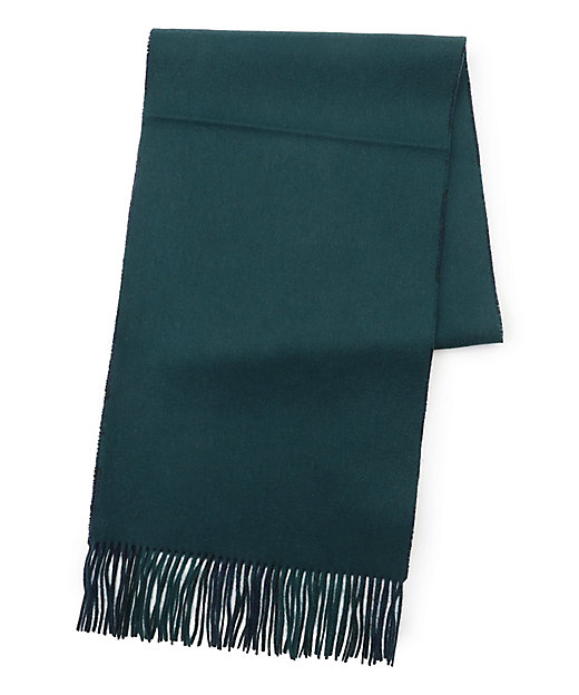 リバーシブル カシミヤマフラー （AA1LLS0411） | J.PRESS