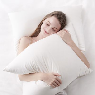 800FPポーランド産ホワイトマザーグースダウンピロー | HOTEL