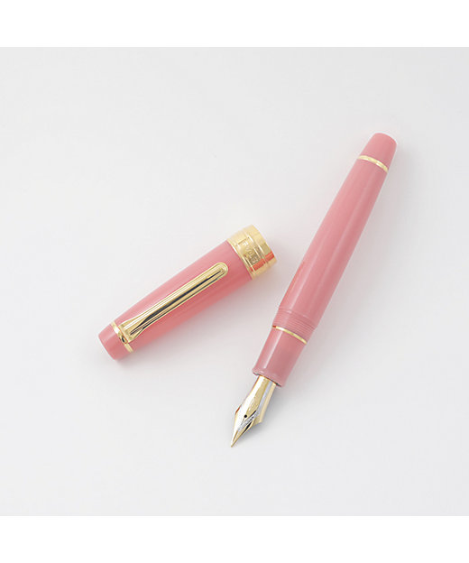 万年筆 プロフェッショナルギア STAs限定 KOP 金 Perna