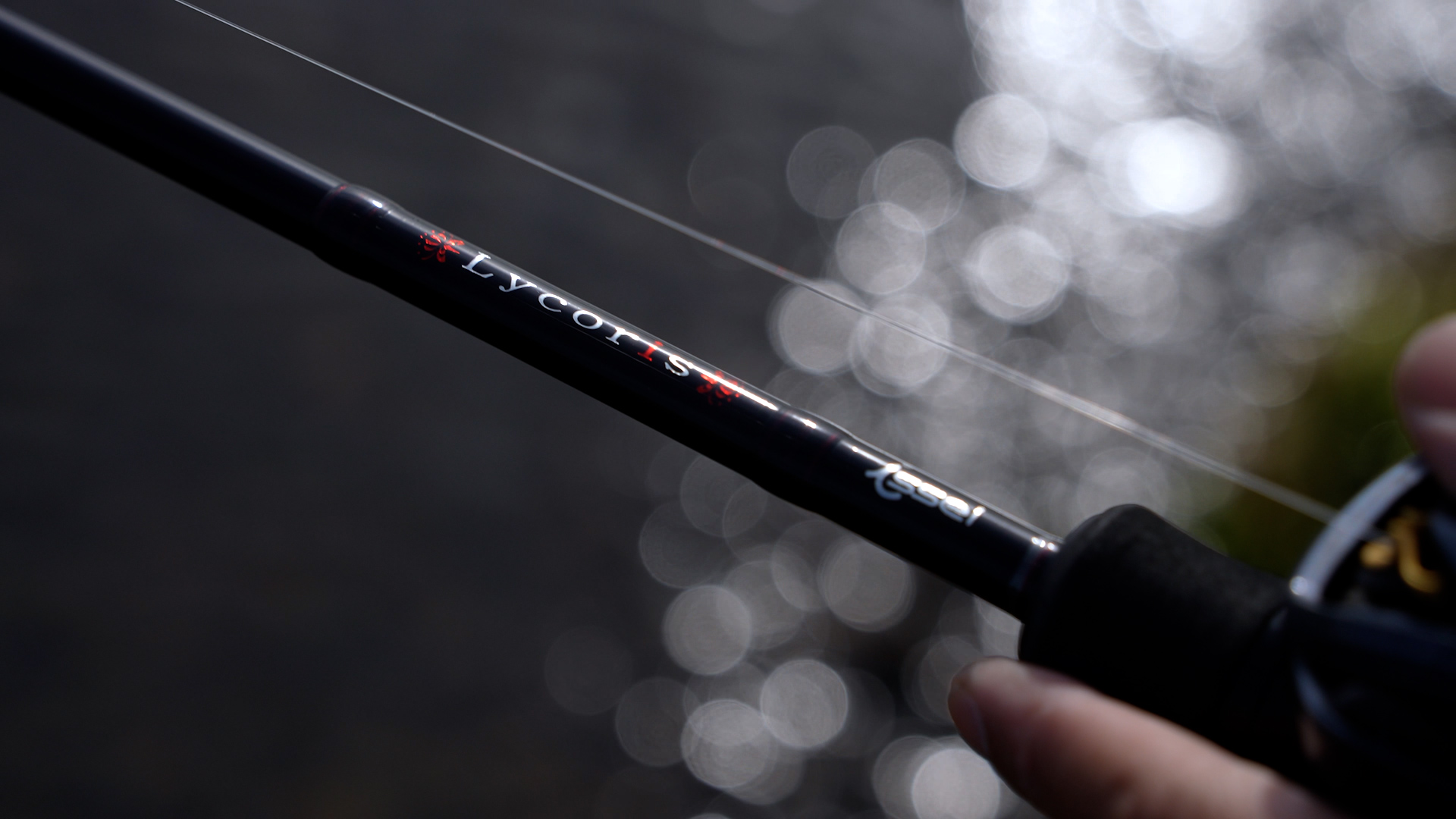 43230393ef137e8c553cd230e4d81e