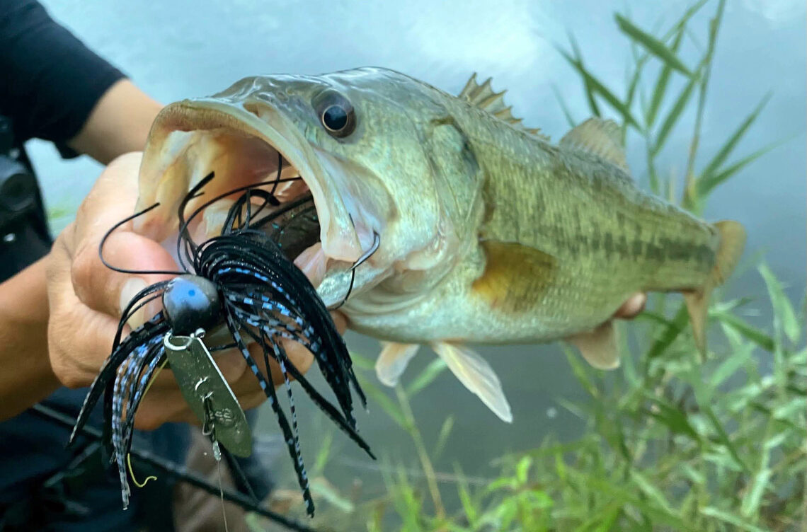 BASS】誰もが楽に使えるものを目指して 『AKチャター』開発秘話 後編