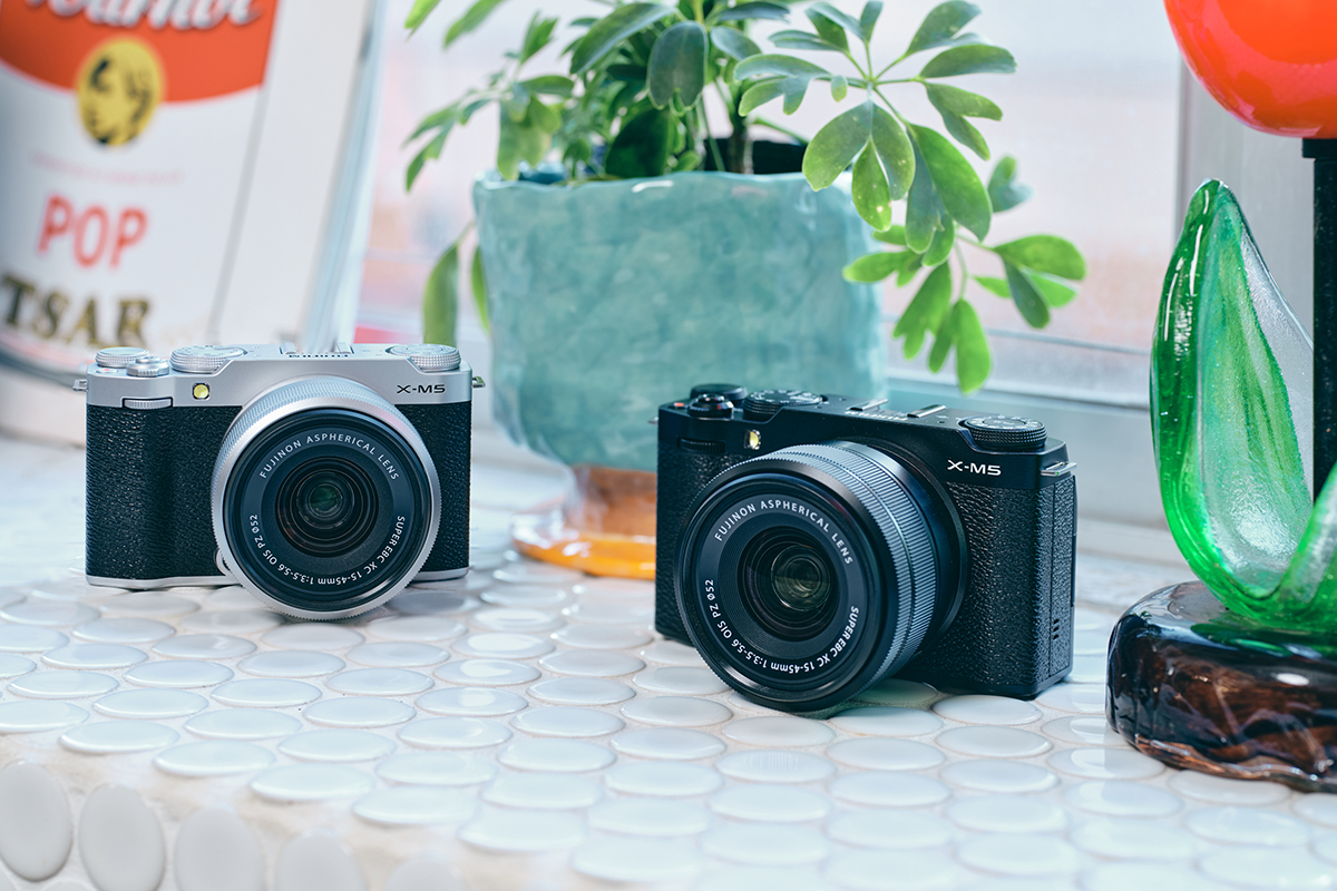 2026年最新版】初心者からこだわり派まで、あなたにはこれがおすすめ