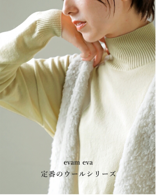 evam eva エヴァムエヴァ ウール タートルネック ニット プルオーバー