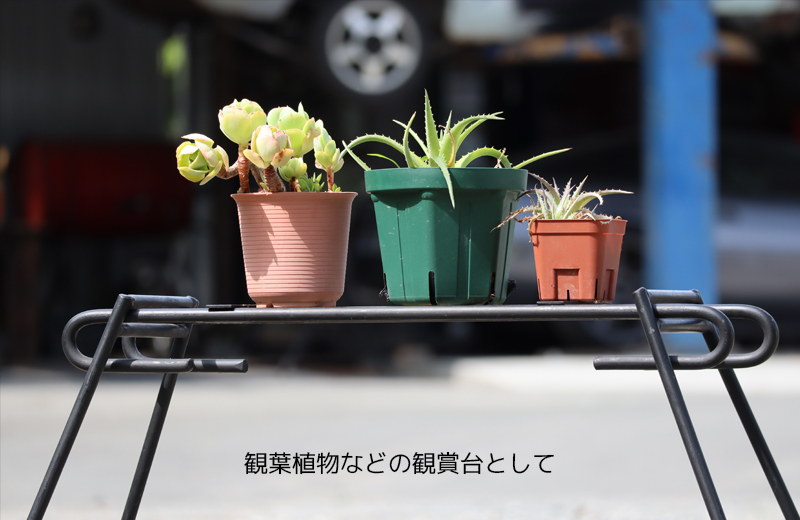 IRONCRAFT アイアンクラフト / IZANAMI half