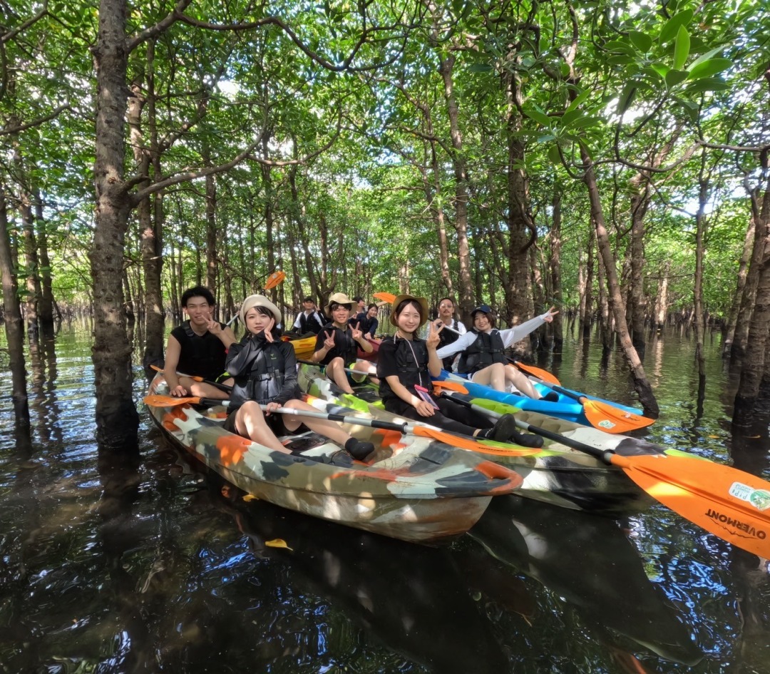 ツアーズ限定割引】西表島⇆石垣島フェリーチケット付き☆マングローブ