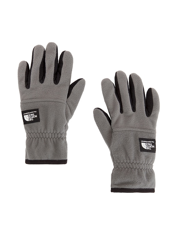 The North Face Etip Heavyweight Fleece Gloves in Smoked Pearl | FWRD