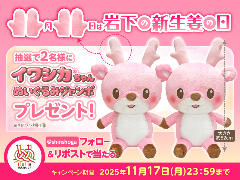11月11日「岩下の新生姜の日」記念！岩下社長Xをフォロー＆リポストで