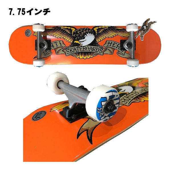 アンタイヒーロー ANTI HERO CLASSIC EAGLE コンプリート スケート