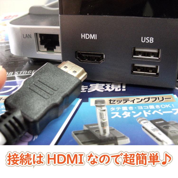 カラオケセット 家庭用 800曲【ワイヤレスマイク1本＋コード付き有線