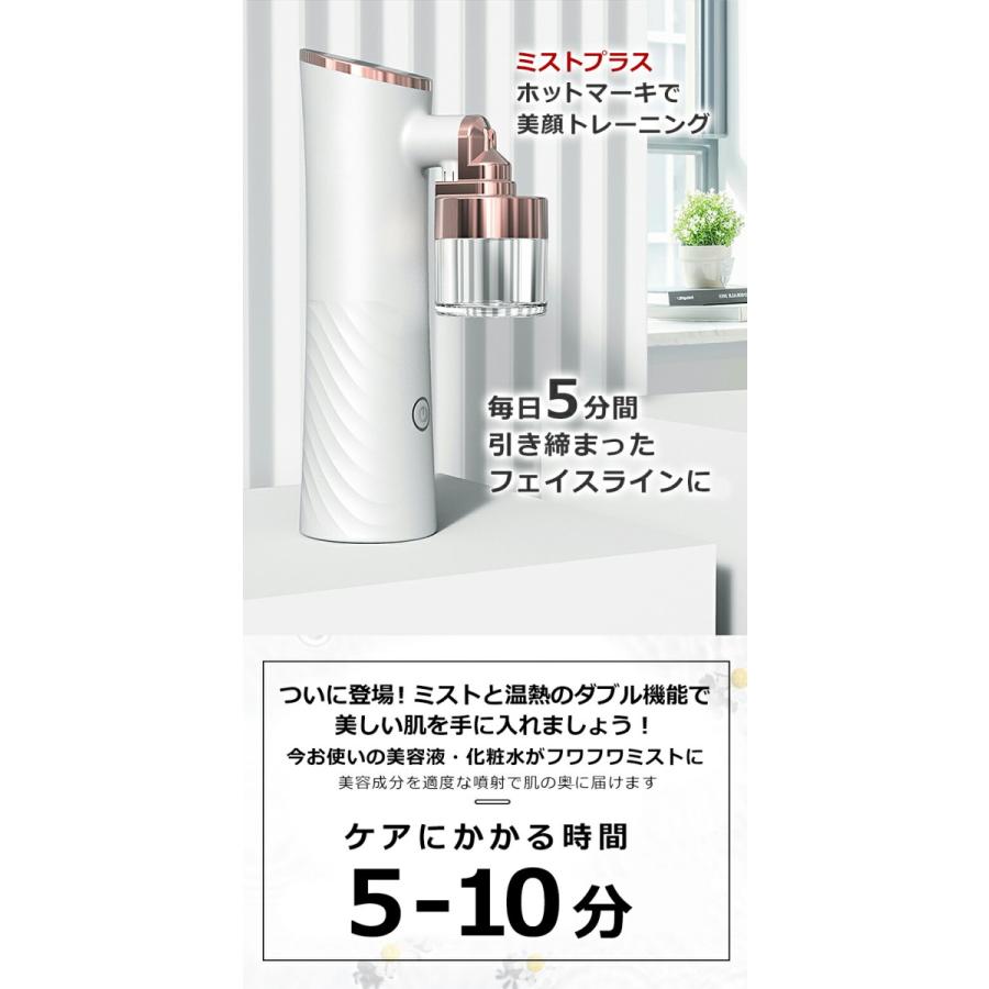 美顔器 補水美容器 スキンケア マッサージ フェイスミスト 美容液 化粧